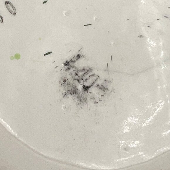 Set Of 2 Ceramic Easter Bunny Mugs Balloon EggOrange Rim & Handle Hand-Painted - Picture 8 of 10